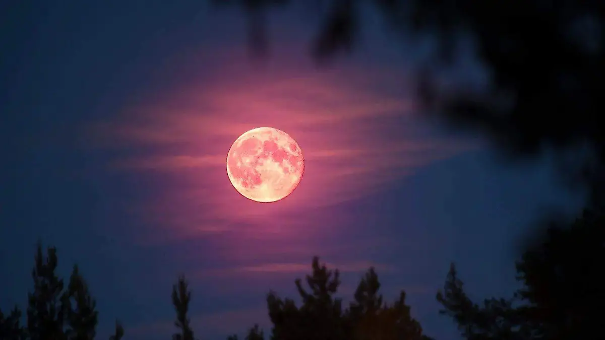 Imagen dimensiones de CUE - 2026-03-31T144432.756