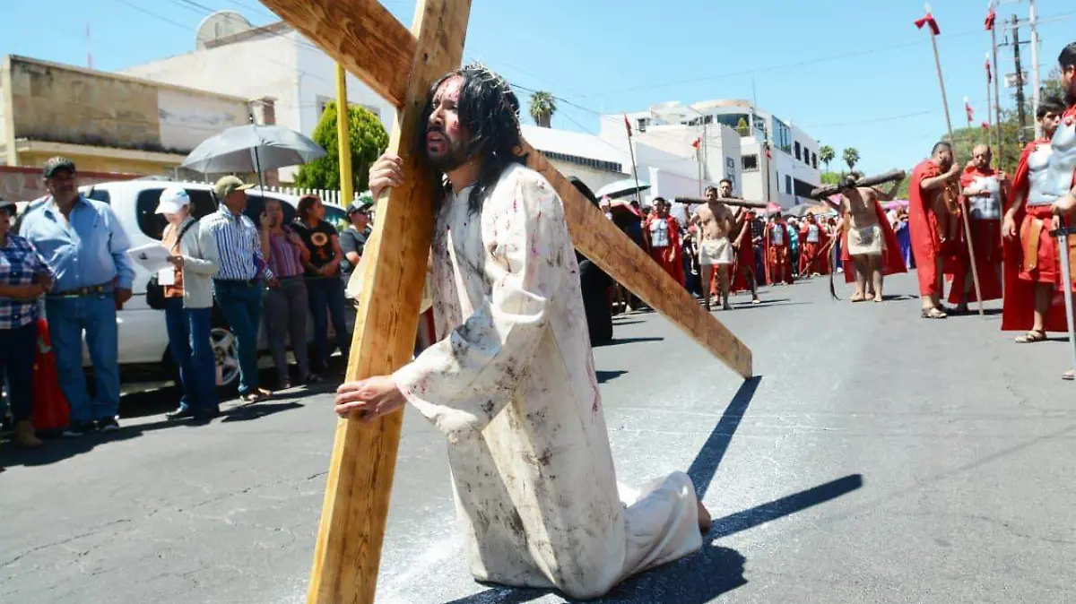 WhatsApp Image 2026-04-01 at 3.33.41 PM (1)