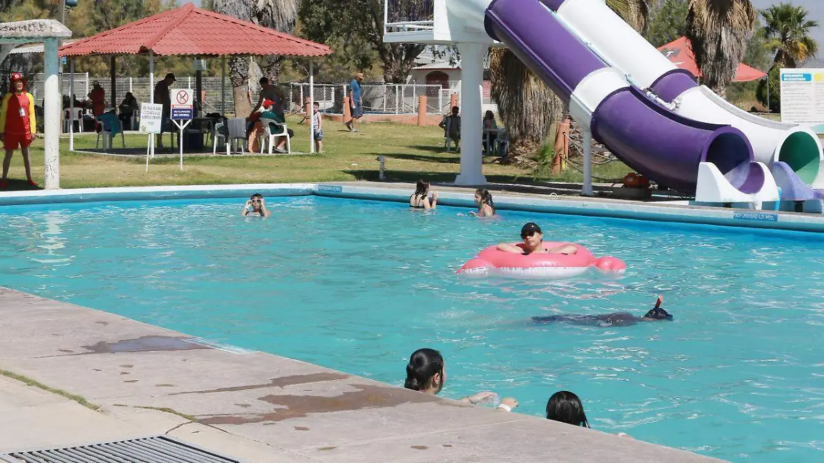 WhatsApp Image 2026-04-01 at 3.44.23 PM (1)