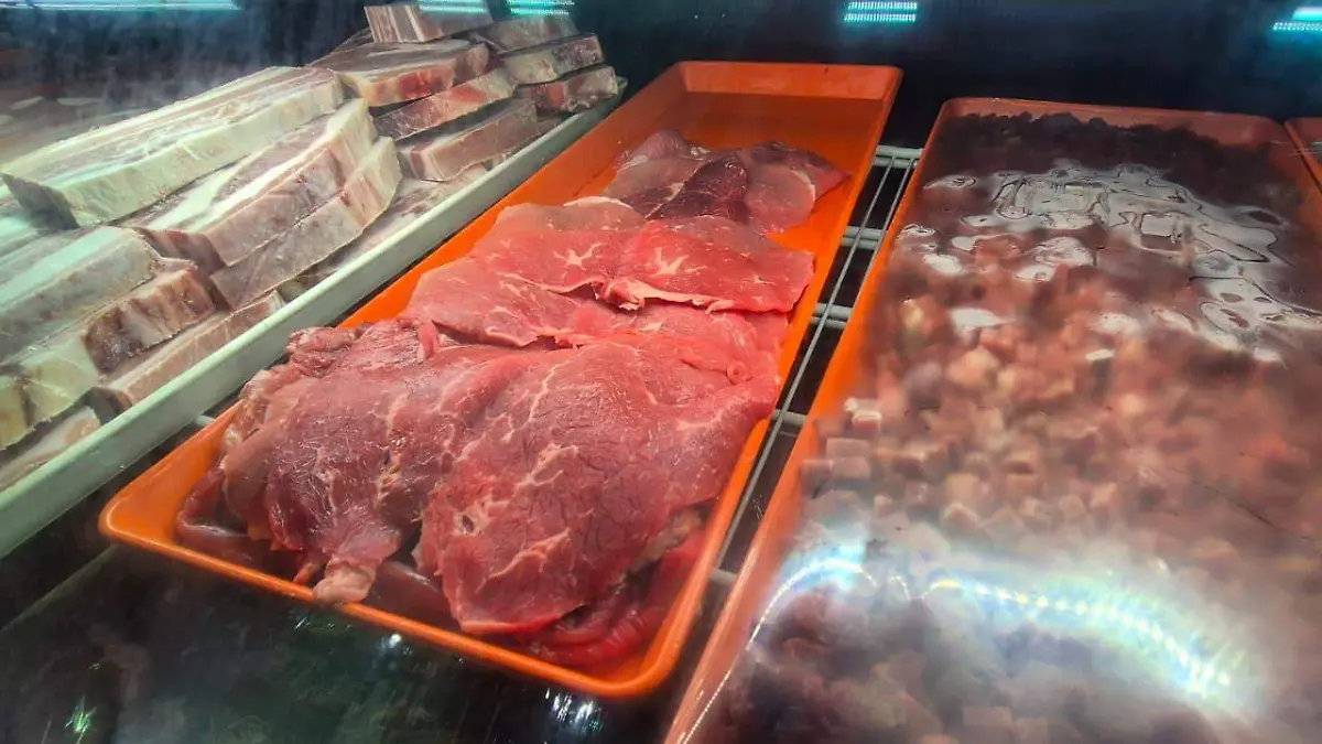 WhatsApp Image 2026-04-01 at 5.21.01 PM