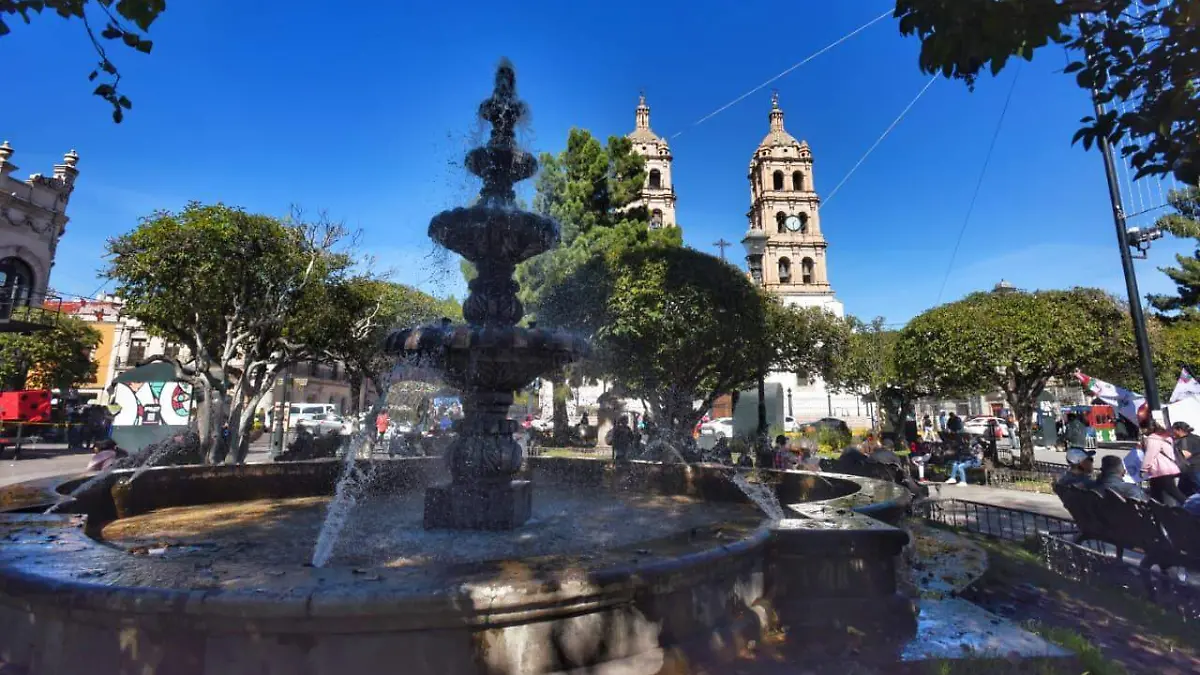 WhatsApp Image 2026-04-01 at 21.36.45 (1)