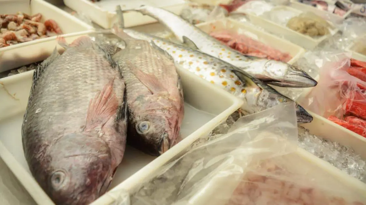 Venta-de-pescados-y-mariscos-en-Durango 