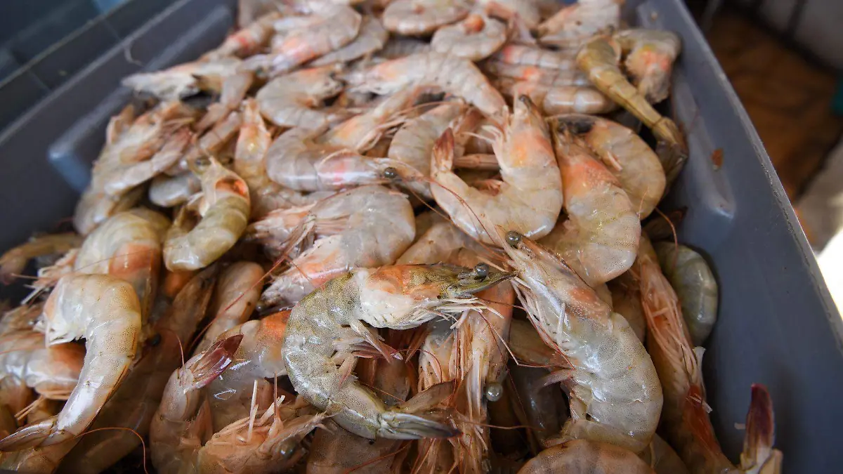 1069396_Venta de pescado precio Cuaresma_web