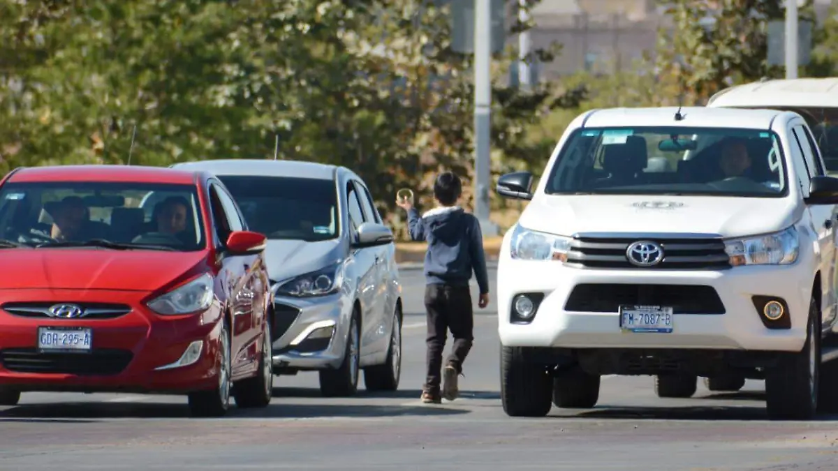 WhatsApp Image 2026-04-05 at 13.31.08