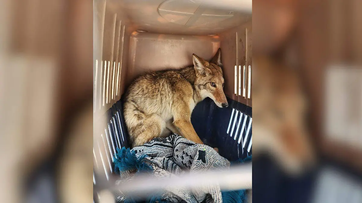 WhatsApp Image 2026-04-06 at 1.59.51 PM