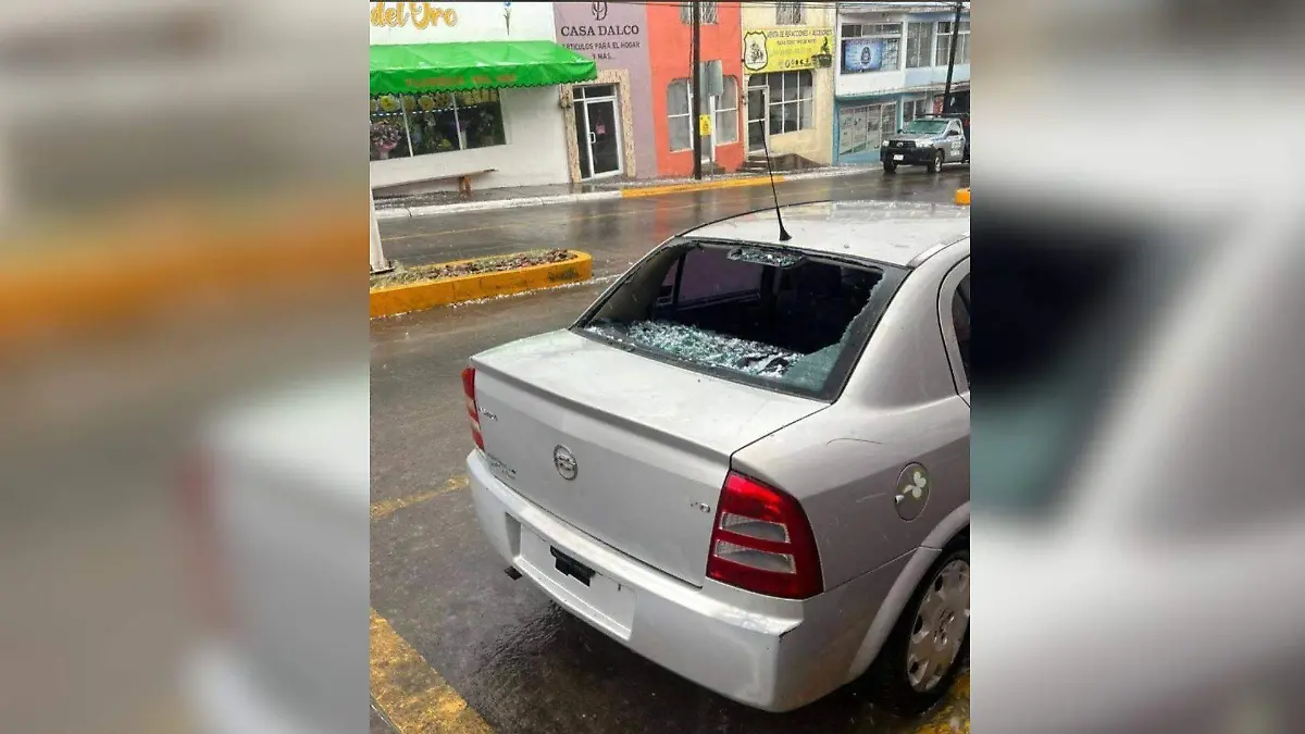 WhatsApp Image 2026-04-06 at 2.23.33 PM