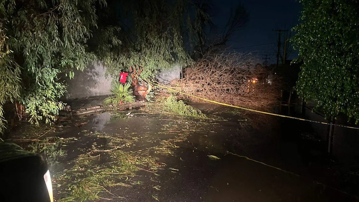 WhatsApp Image 2026-04-04 at 10.51.39 PM