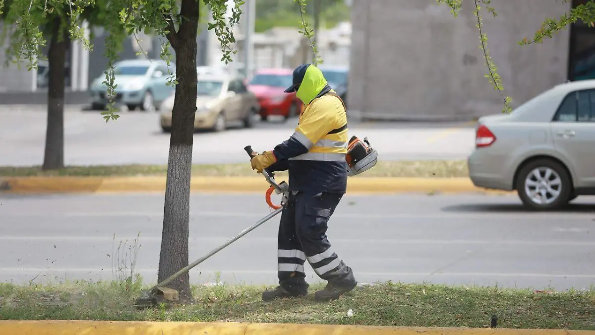 WhatsApp Image 2026-04-06 at 8.03.45 PM