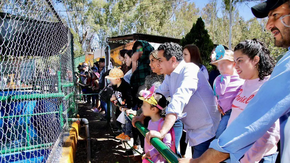 WhatsApp Image 2026-04-08 at 17.39.04