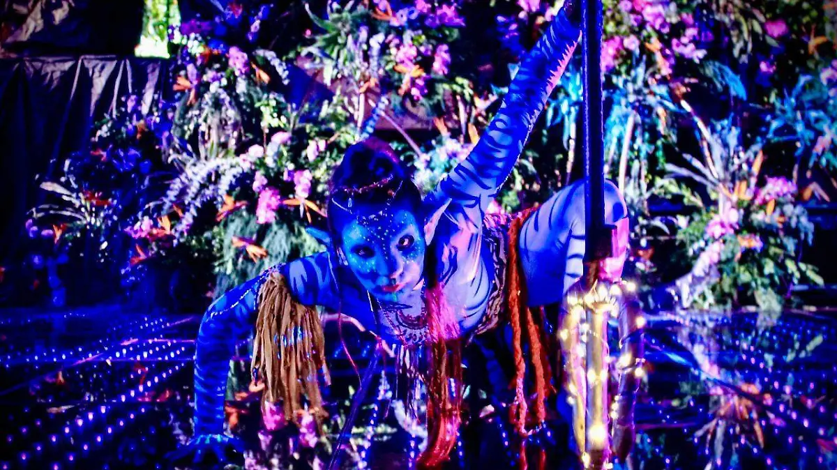 WhatsApp Image 2026-04-08 at 17.43.22 (1)