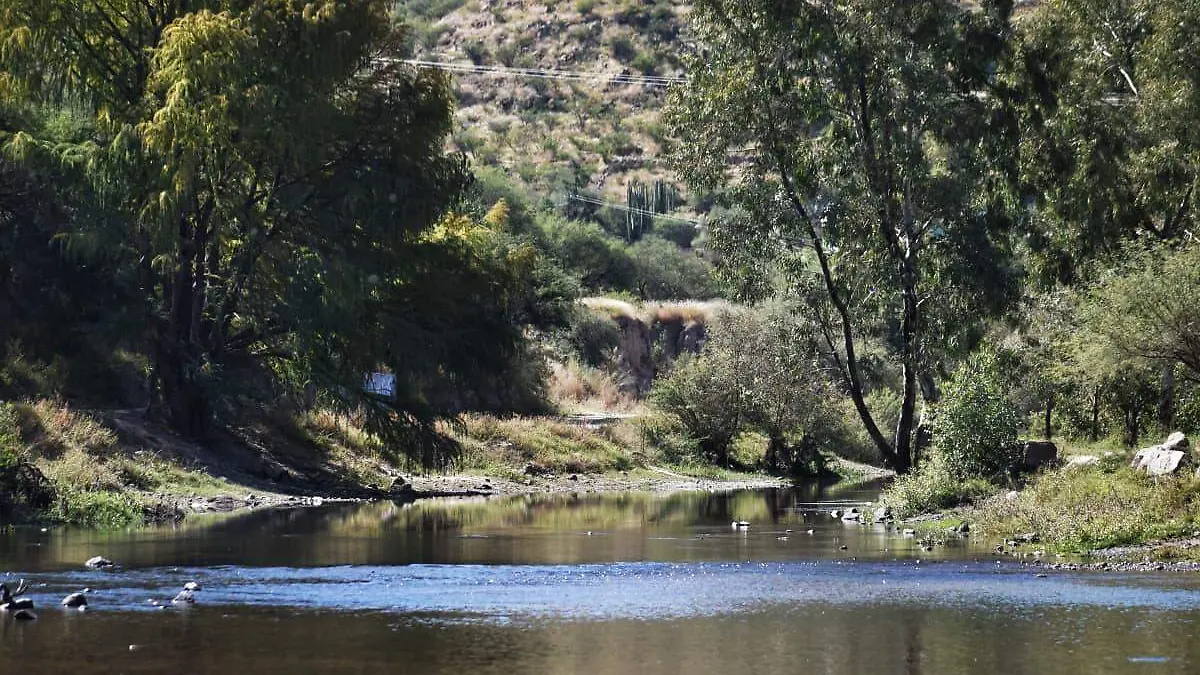 WhatsApp Image 2026-04-09 at 4.49.26 PM