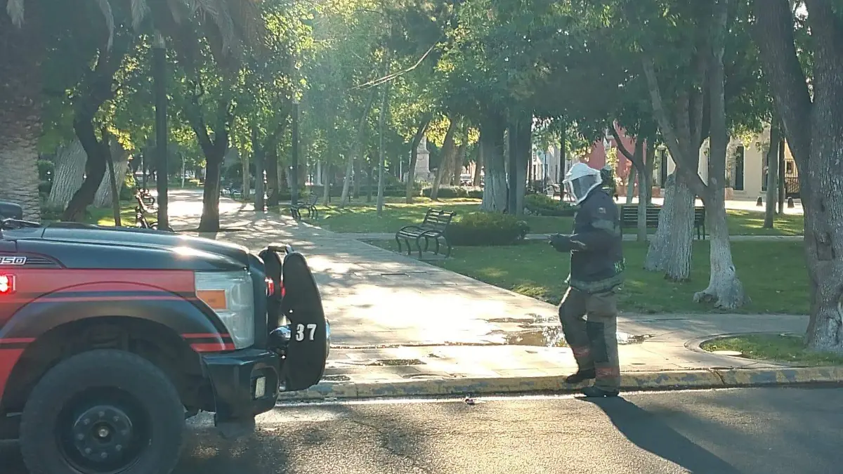 WhatsApp Image 2026-04-09 at 6.09.45 PM