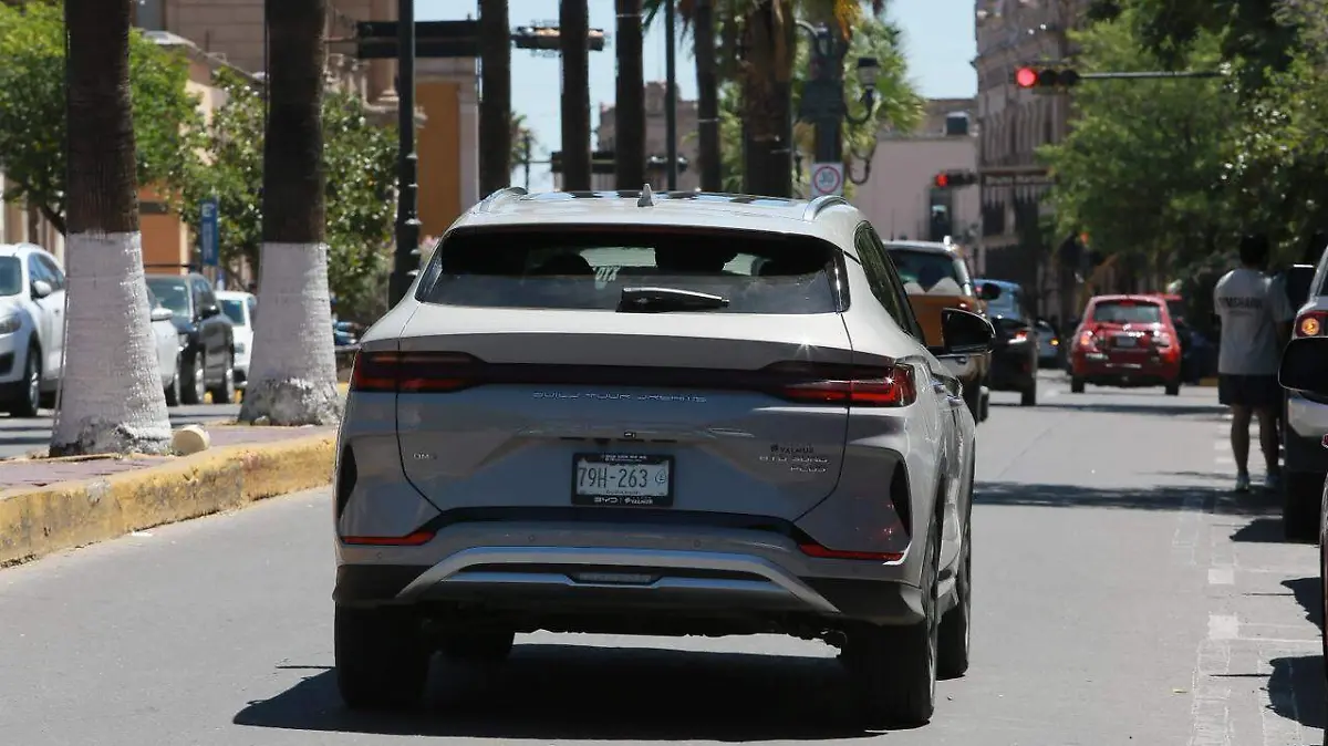 WhatsApp Image 2026-04-09 at 22.55.20 (1)