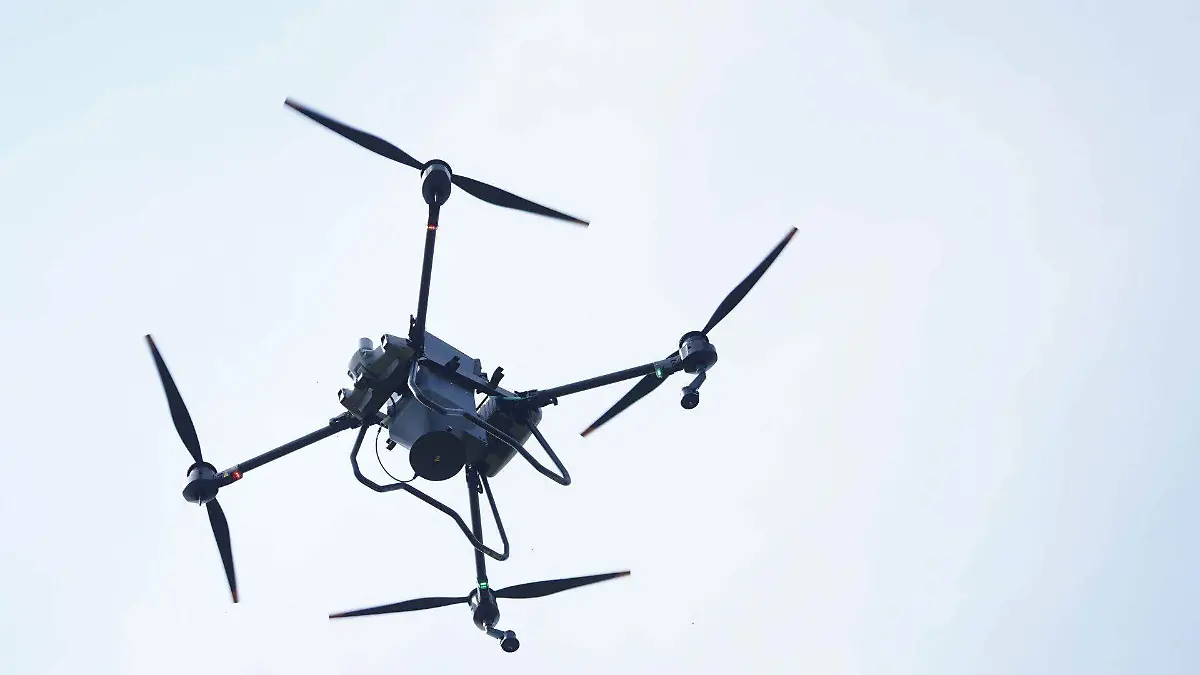 1042134_Dron Dispersión Semillas Nativas_web