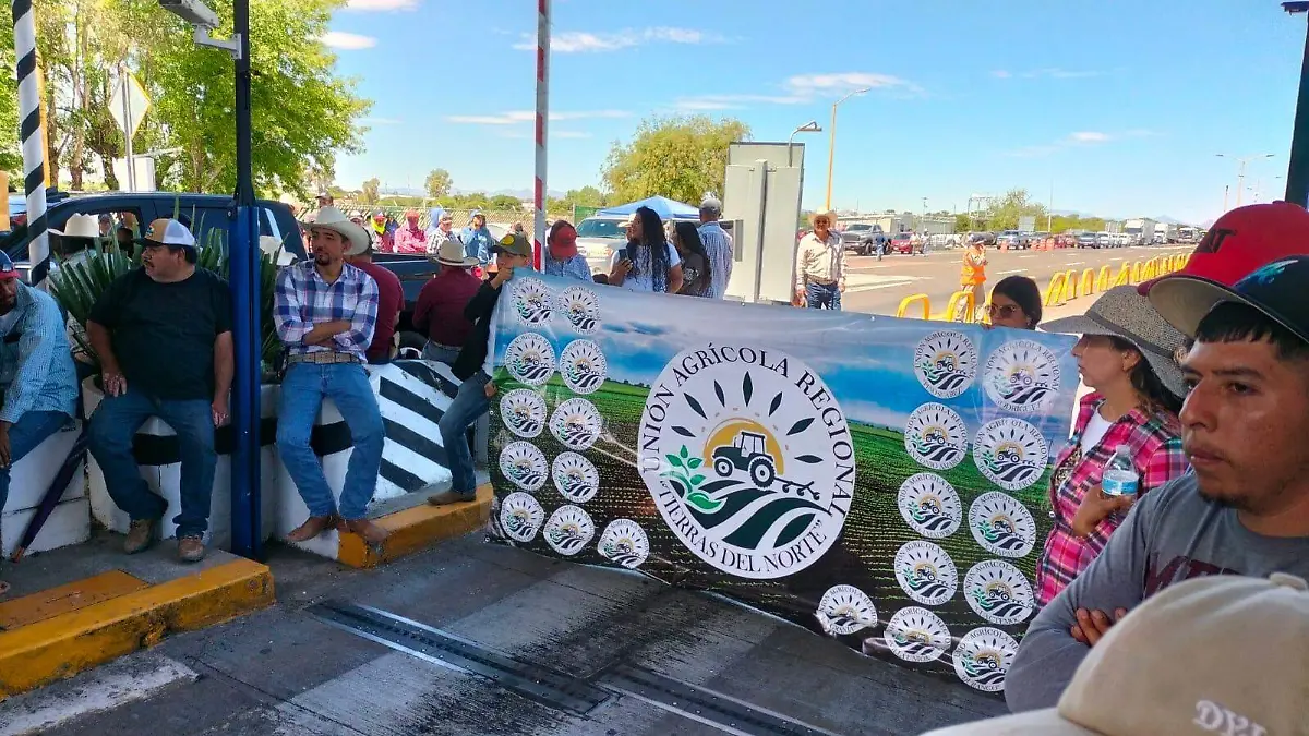 WhatsApp Image 2026-04-10 at 2.16.20 PM