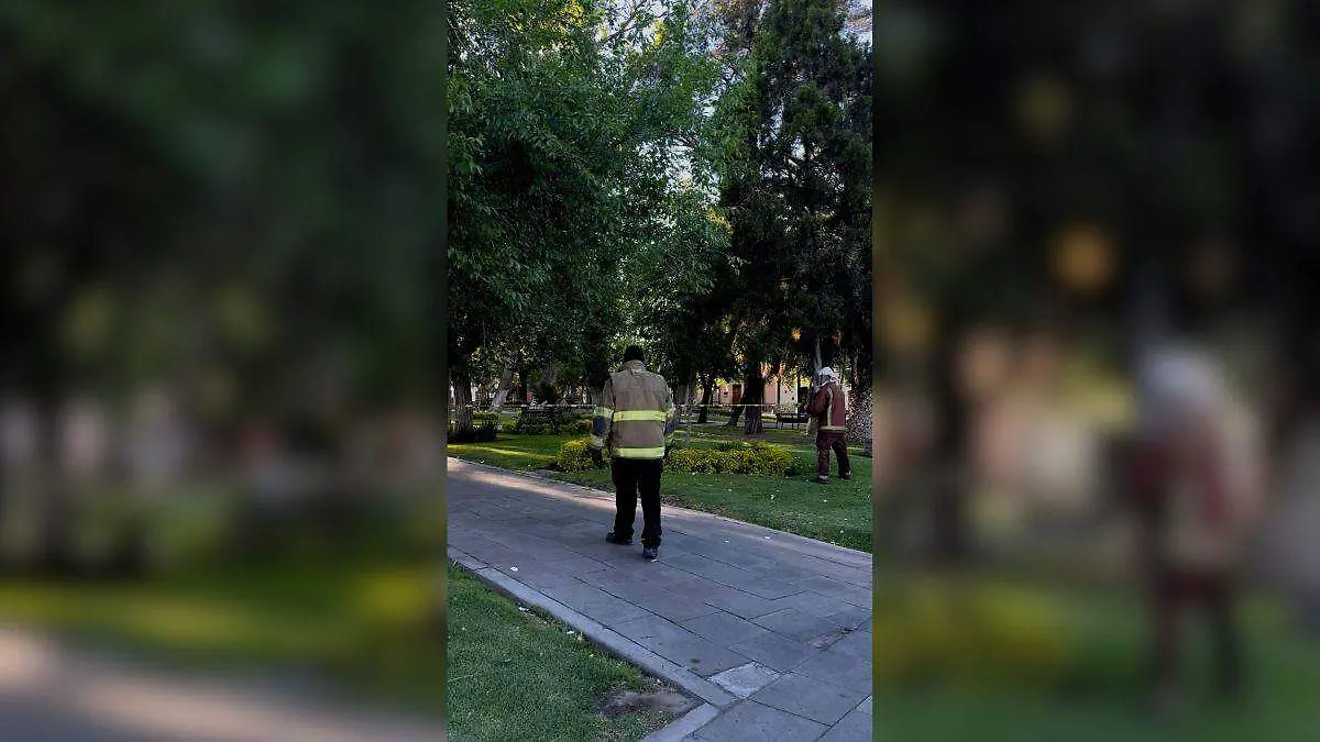 Medidas Portada CUE (8)