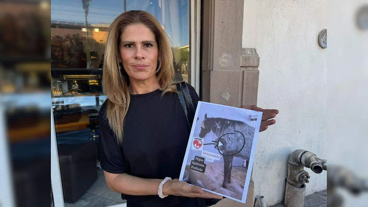 Medidas Portada CUE (10)