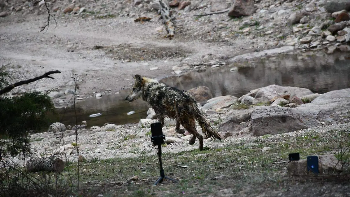 WhatsApp Image 2026-04-11 at 6.48.26 PM