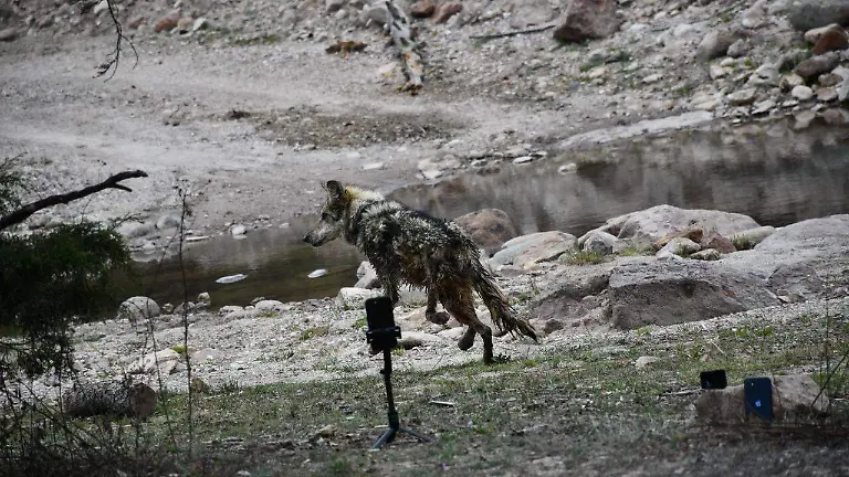 WhatsApp Image 2026-04-11 at 6.48.26 PM