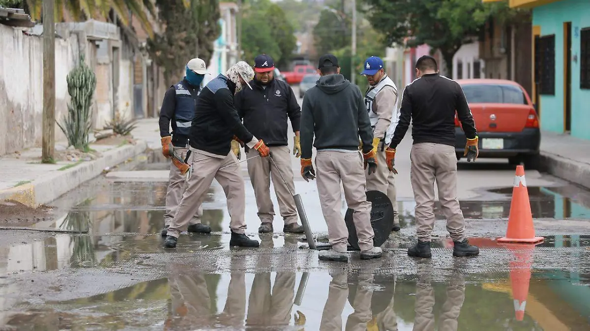 WhatsApp Image 2026-04-12 at 08.43.13