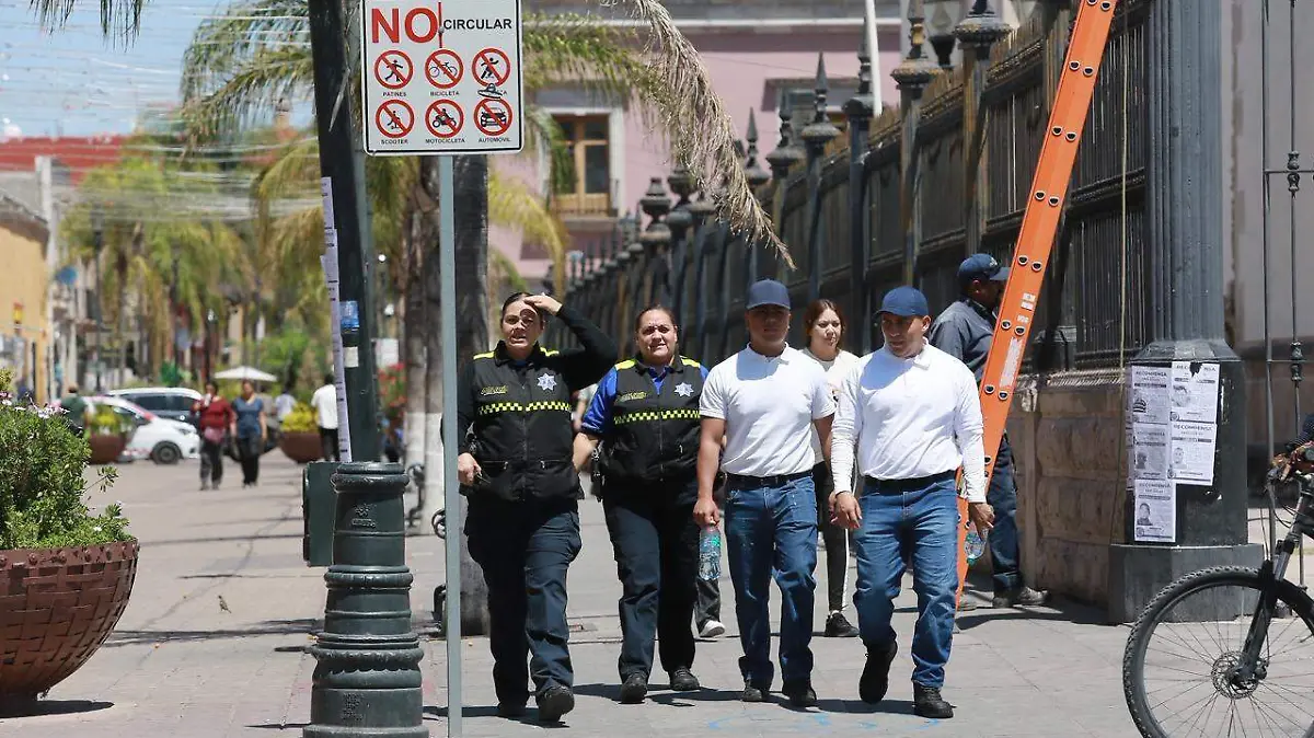 WhatsApp Image 2026-04-12 at 13.51.17