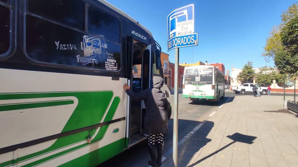 WhatsApp Image 2026-04-13 at 3.43.33 PM