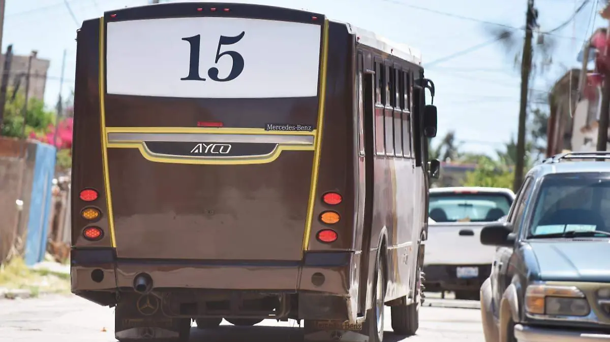 WhatsApp Image 2026-04-13 at 3.43.32 PM