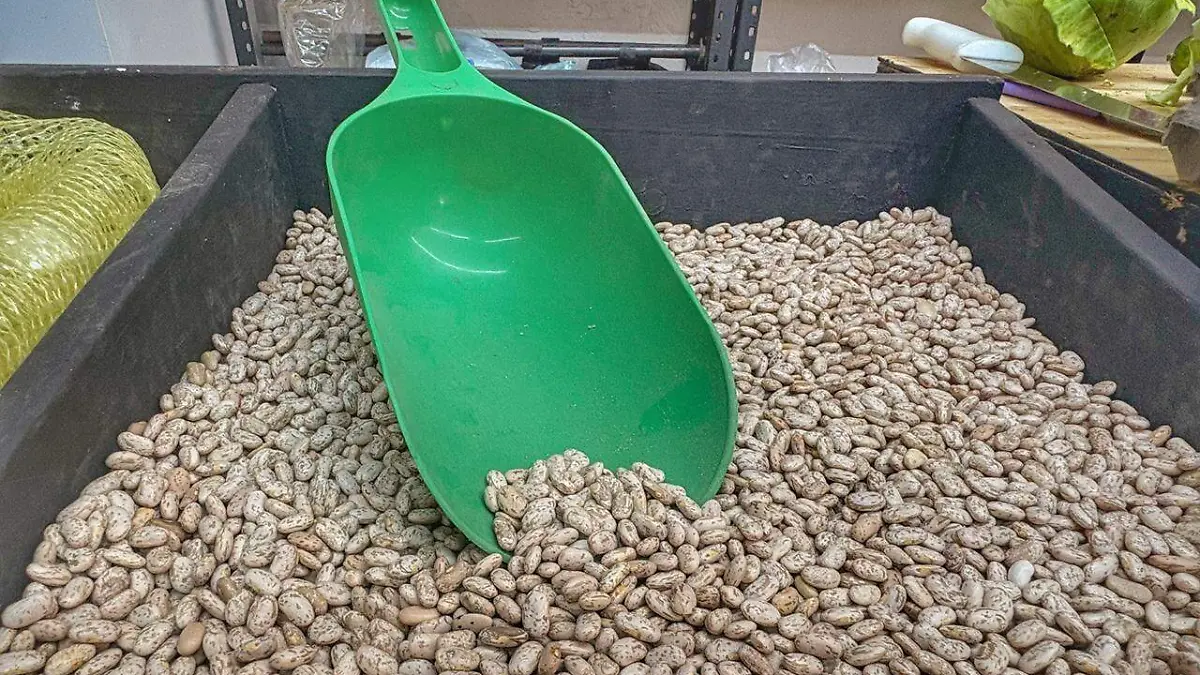 WhatsApp Image 2026-04-13 at 17.38.42