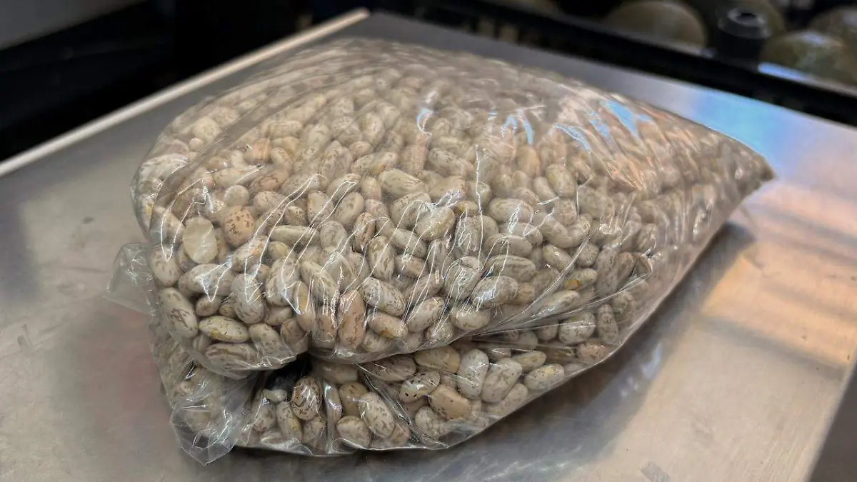 WhatsApp Image 2026-04-13 at 17.38.42 (1)