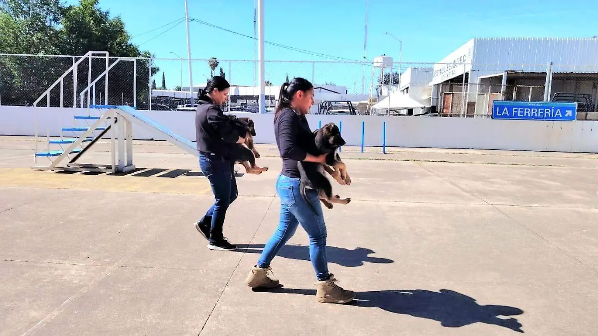 WhatsApp Image 2026-04-13 at 13.58.34 (1)