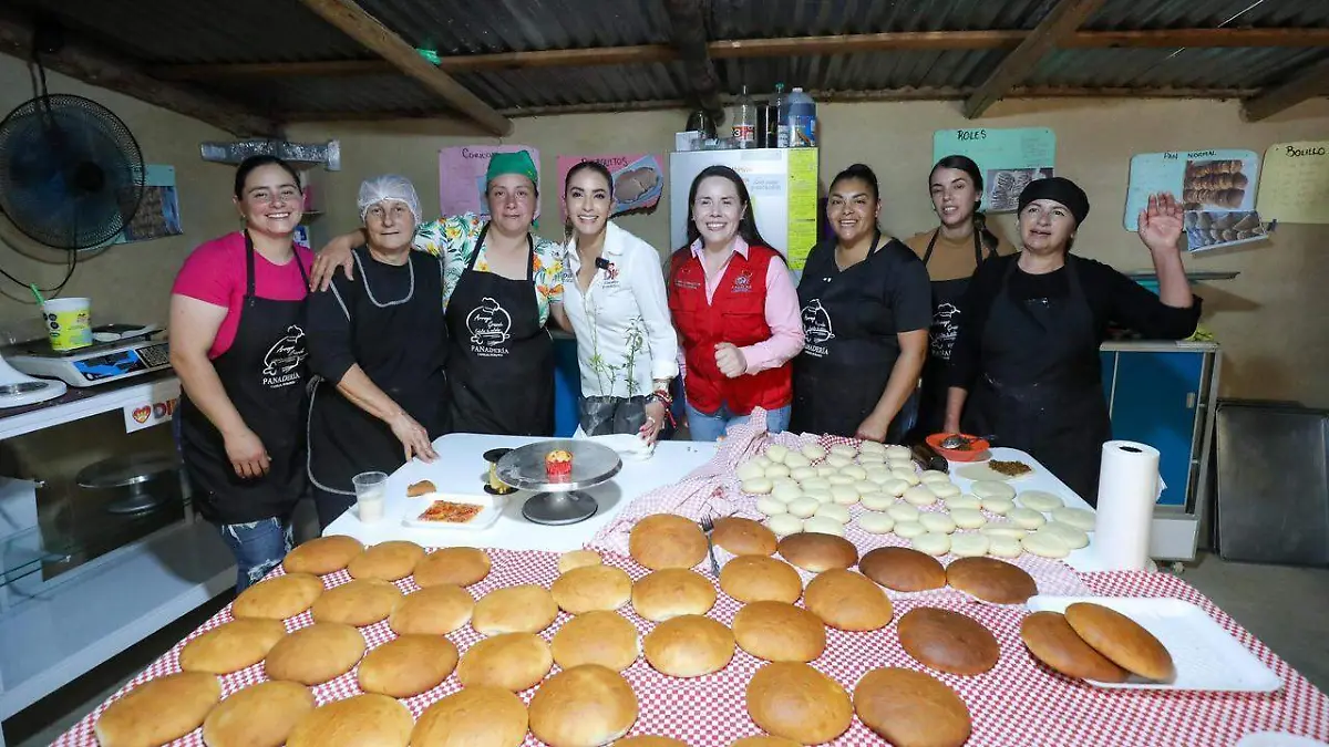 WhatsApp Image 2026-04-14 at 2.30.04 PM