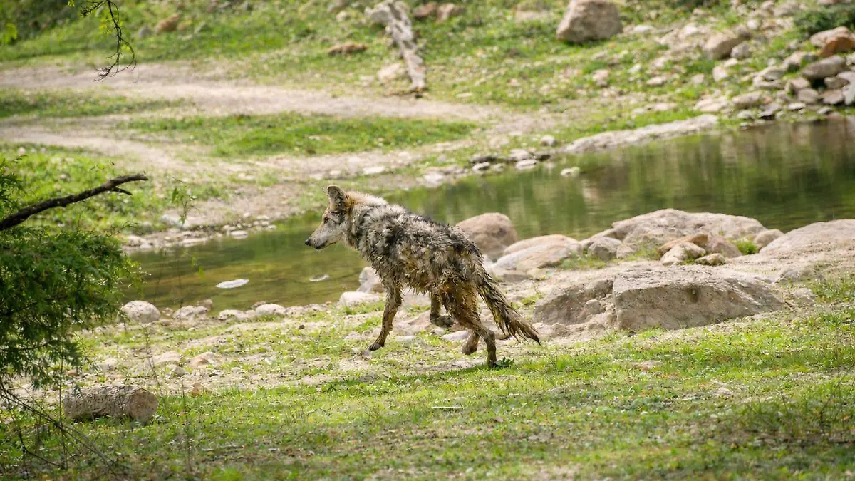 669223380_1271615325162162_8475594959872839281_n