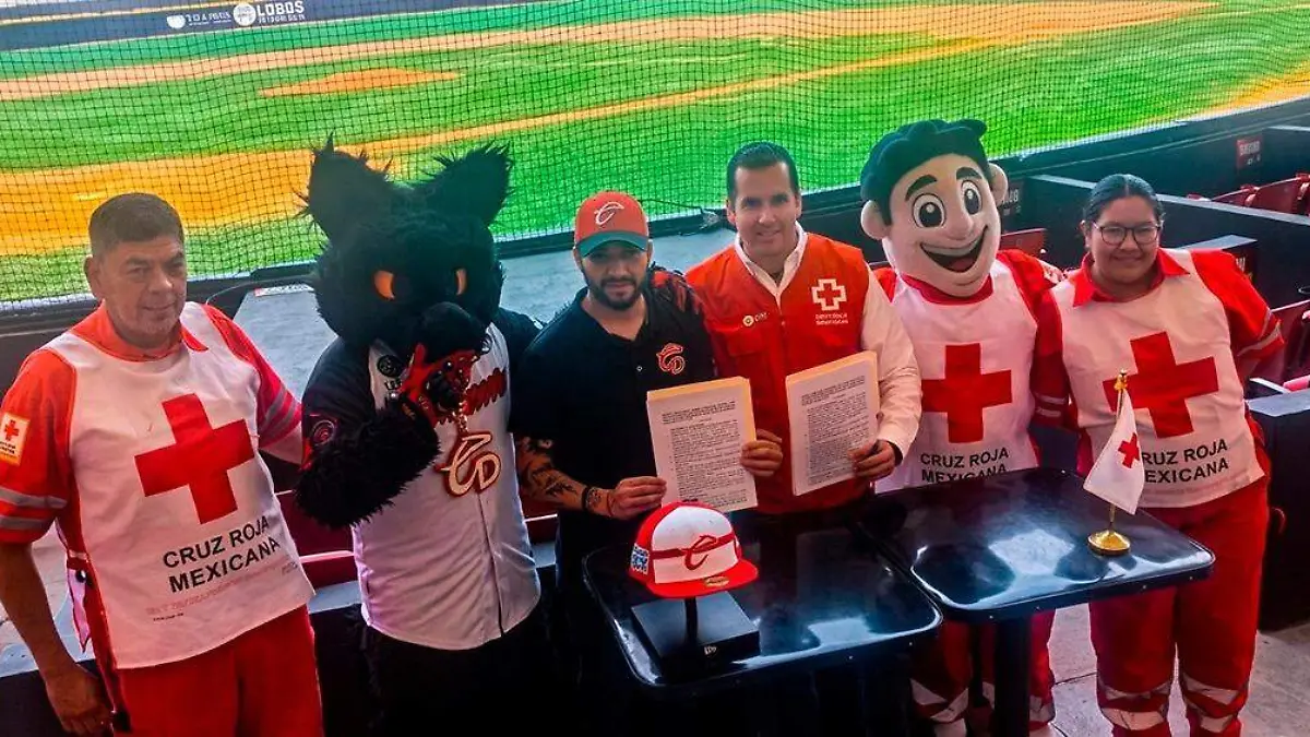 WhatsApp Image 2026-04-14 at 18.07.02