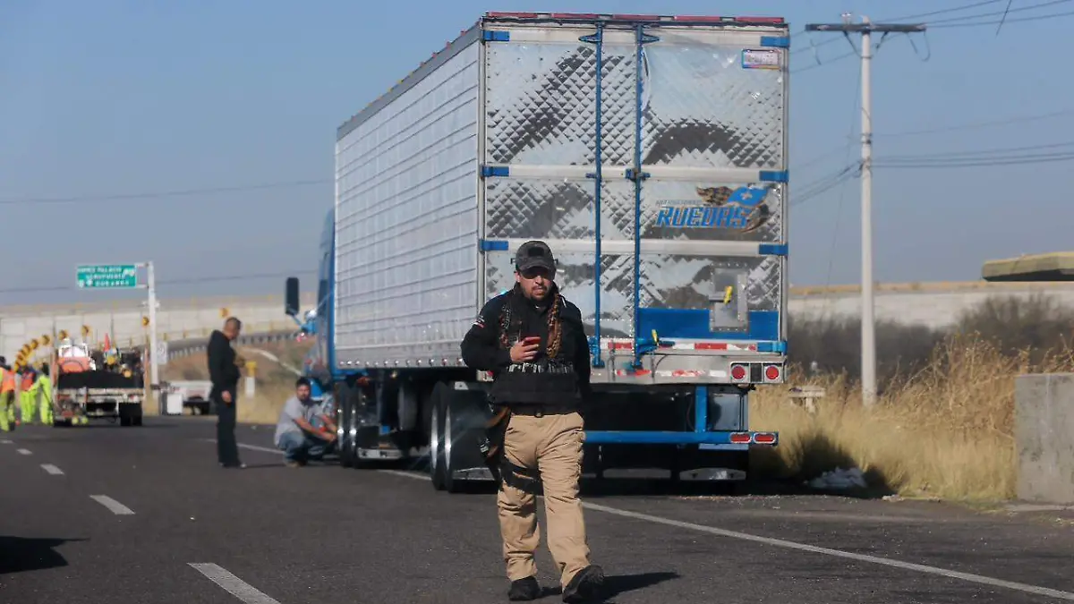 WhatsApp Image 2026-04-14 at 16.15.14 (1)