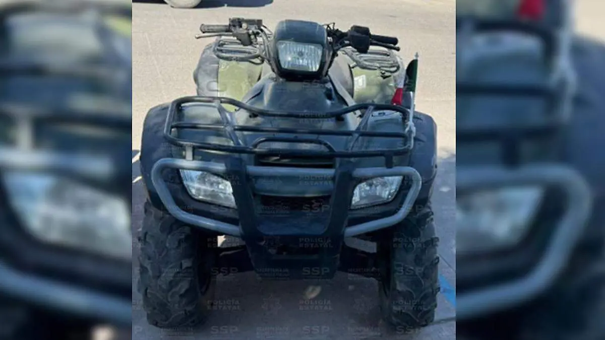 WhatsApp Image 2026-04-15 at 11.07.48 AM