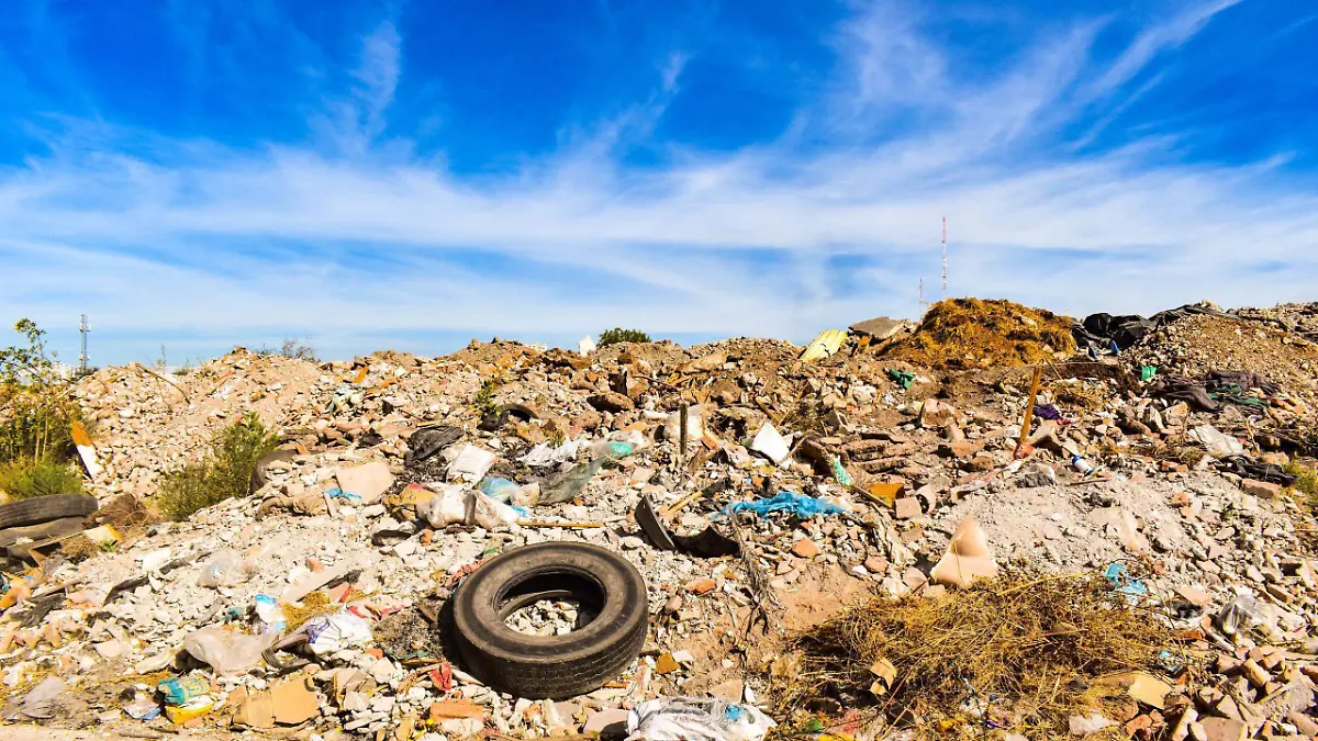 WhatsApp Image 2026-04-15 at 18.47.33