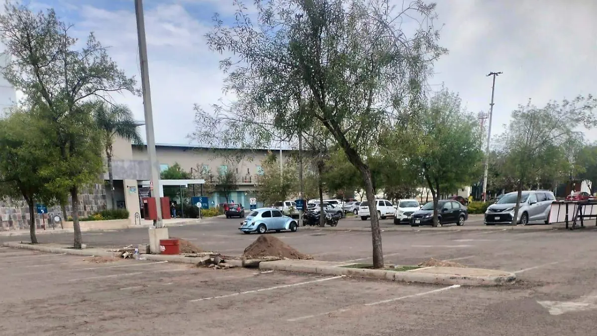 WhatsApp Image 2026-04-16 at 12.21.30 PM