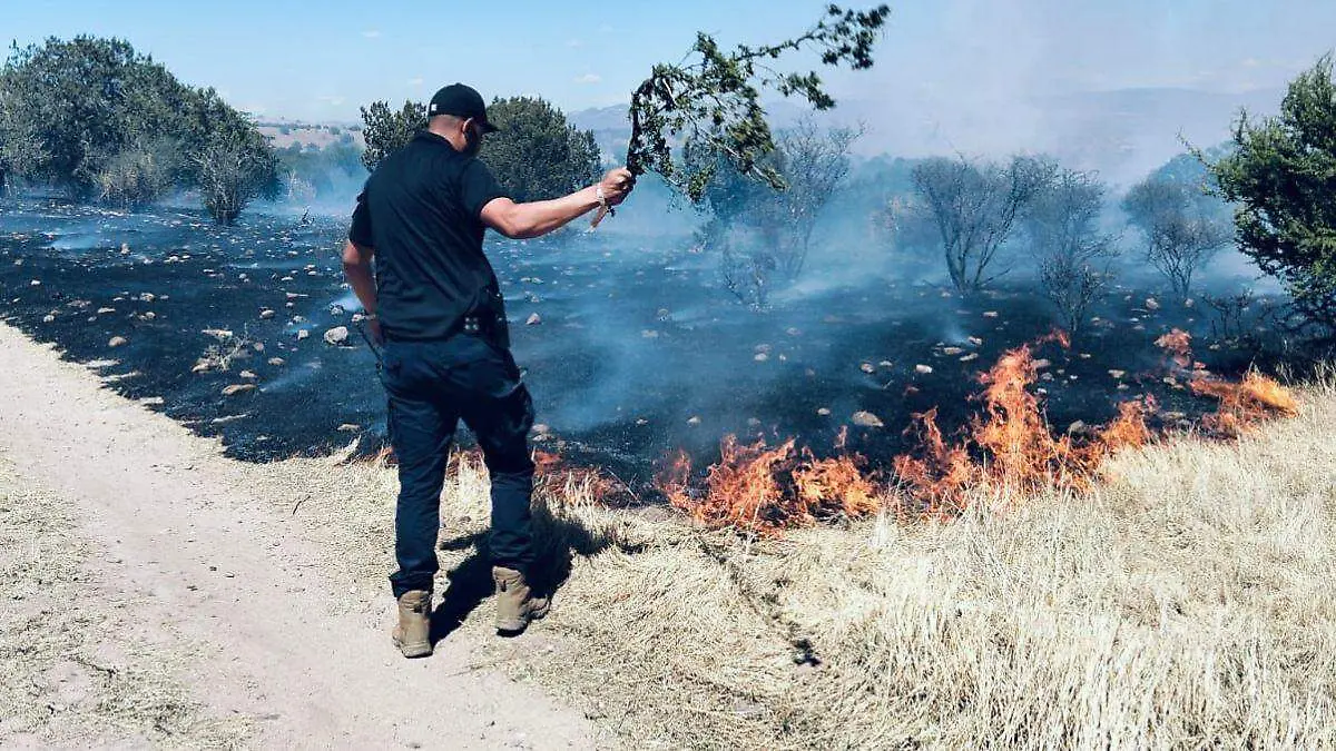 Medidas Portada CUE (11)