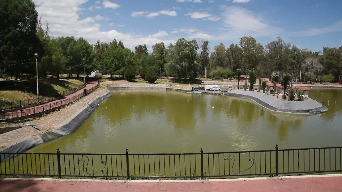 WhatsApp Image 2026-04-18 at 3.29.25 PM (1)