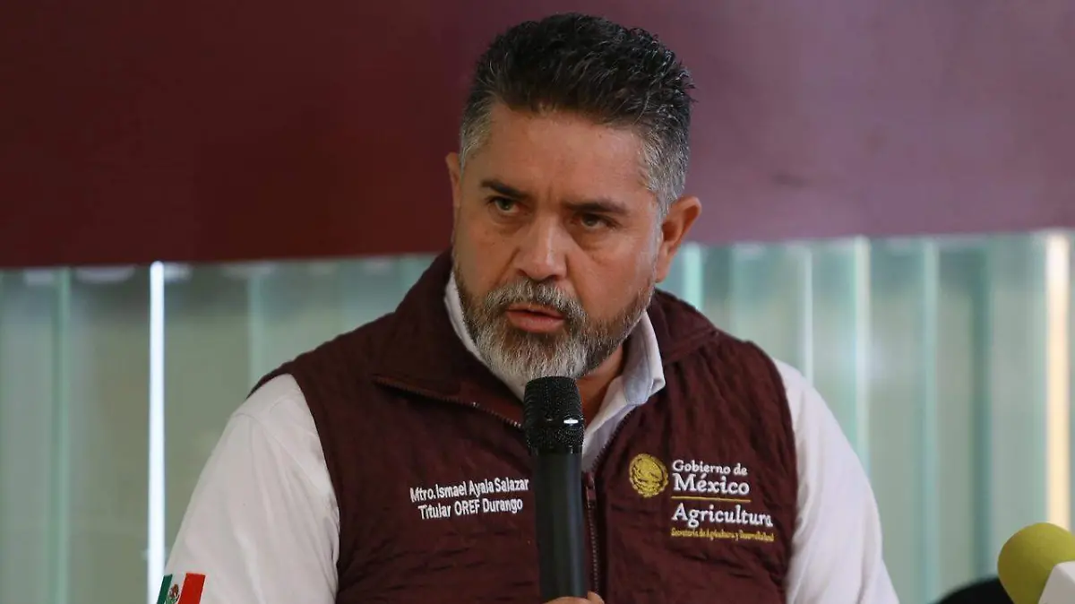 Ismael Ayala Salazar