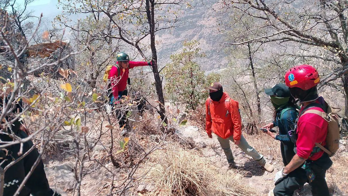 WhatsApp Image 2026-04-19 at 13.35.49