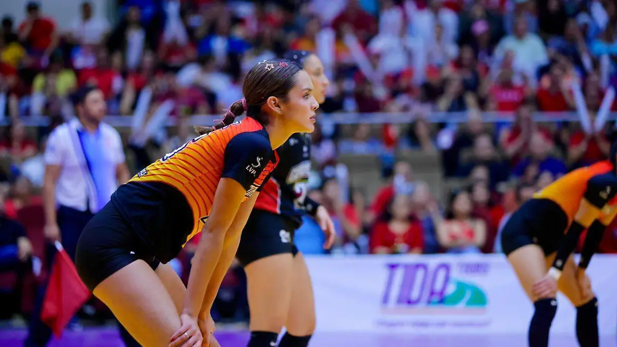 WhatsApp Image 2026-04-19 at 12.35.18 AM