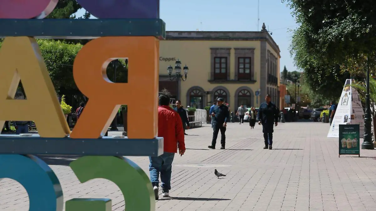 WhatsApp Image 2026-04-20 at 17.24.02 (1)