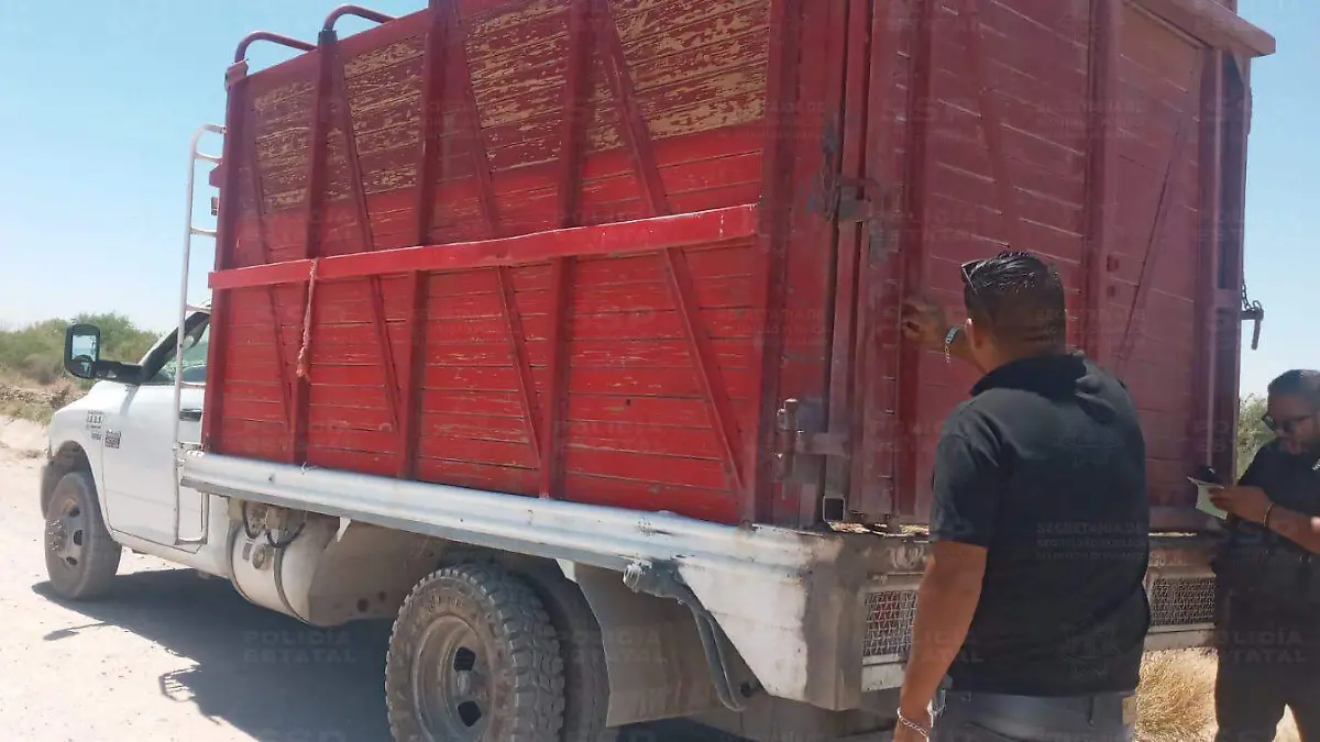 WhatsApp Image 2026-04-21 at 10.11.26 AM