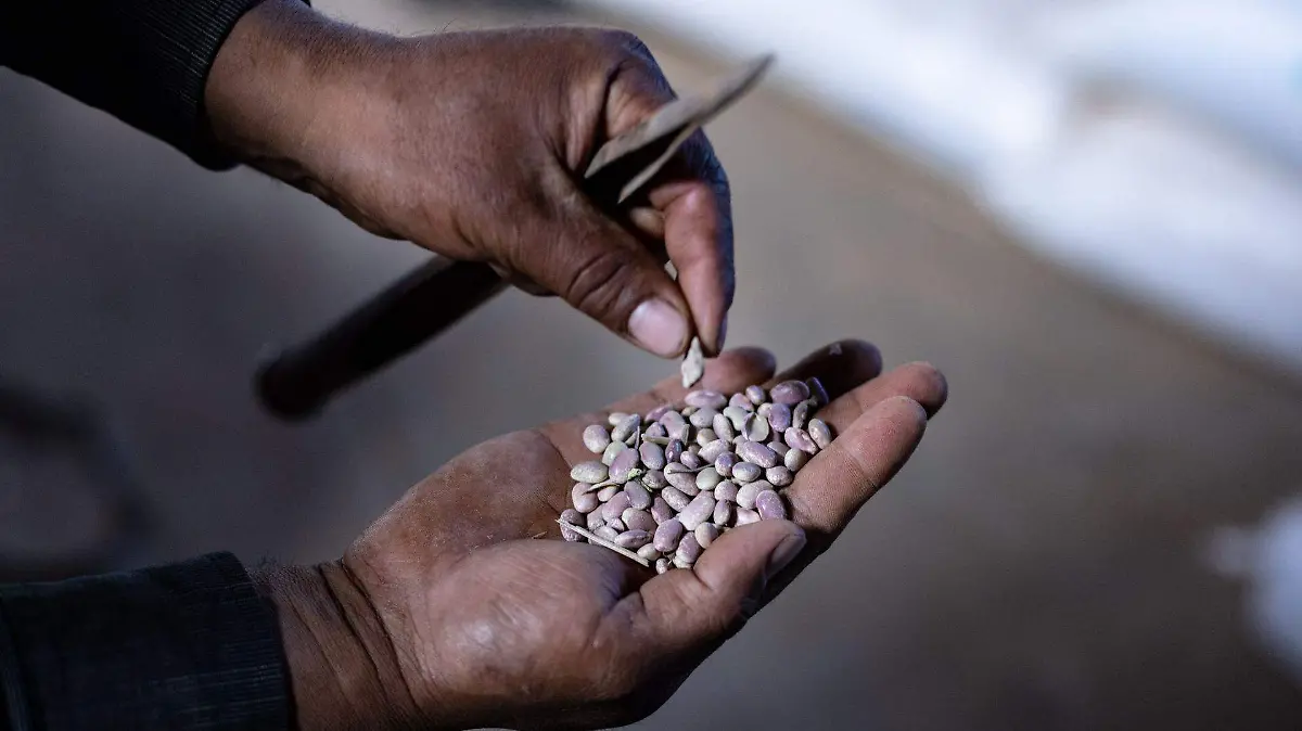 1067190_Frijol Zacatecas_web