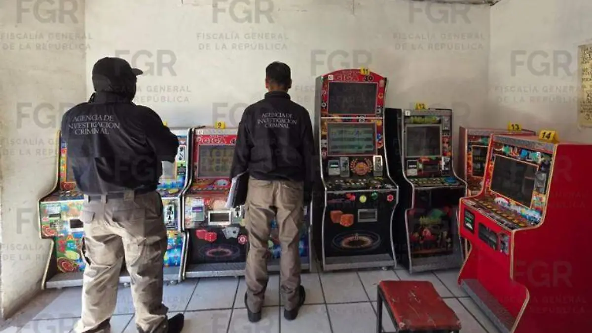 WhatsApp Image 2026-04-22 at 19.00.48 (1)