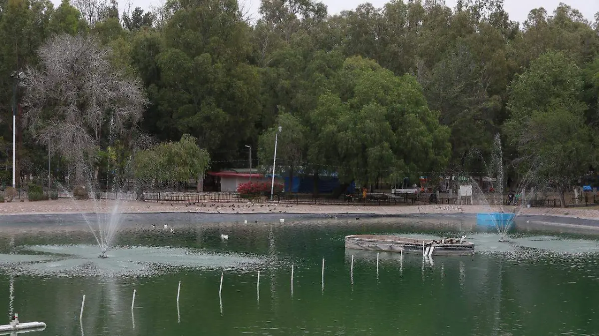 parque-Lago de los Patos