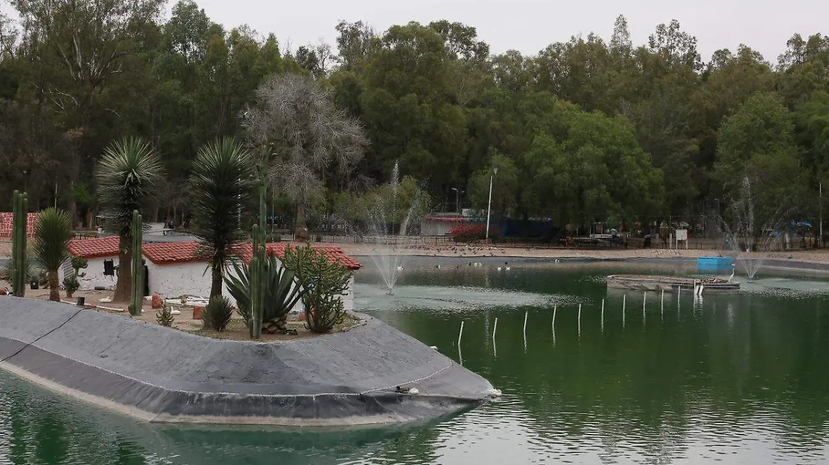 WhatsApp Image 2026-04-22 at 16.08.00 (3)