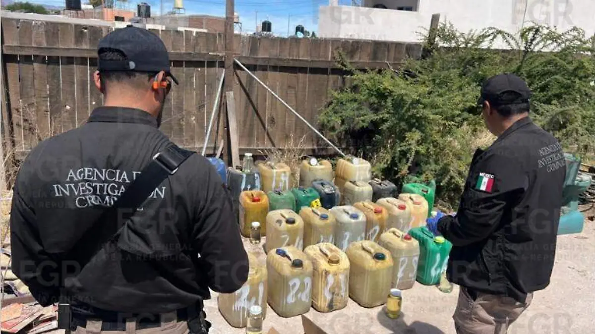 WhatsApp Image 2026-04-23 at 17.26.44 (1)