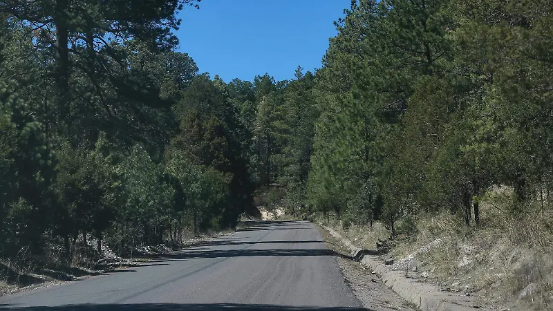 Sierra duranguense 